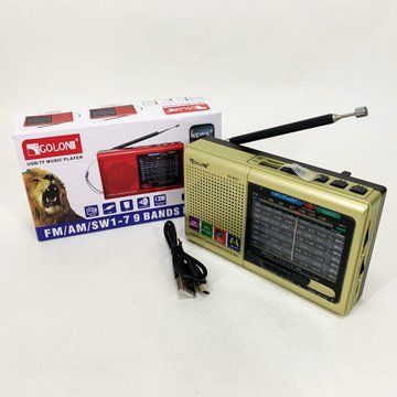 Портативная колонка радио MP3 USB Golon RX-6622. Цвет: золотой ws31912-1 фото