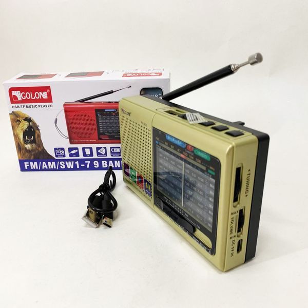 Портативная колонка радио MP3 USB Golon RX-6622. Цвет: золотой ws31912-1 фото