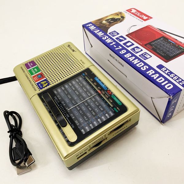 Портативная колонка радио MP3 USB Golon RX-6622. Цвет: золотой ws31912-1 фото