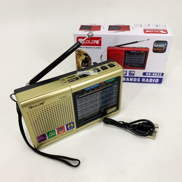 Портативная колонка радио MP3 USB Golon RX-6622. Цвет: золотой ws31912-1 фото