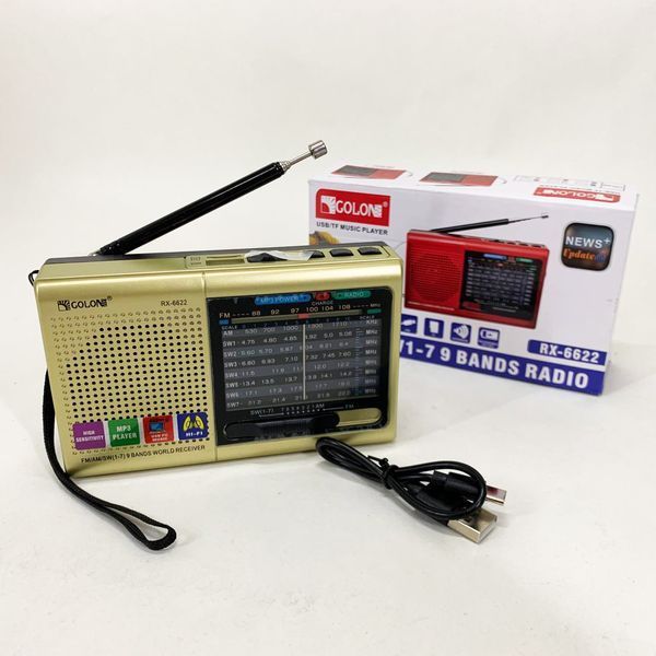 Портативная колонка радио MP3 USB Golon RX-6622. Цвет: золотой ws31912-1 фото