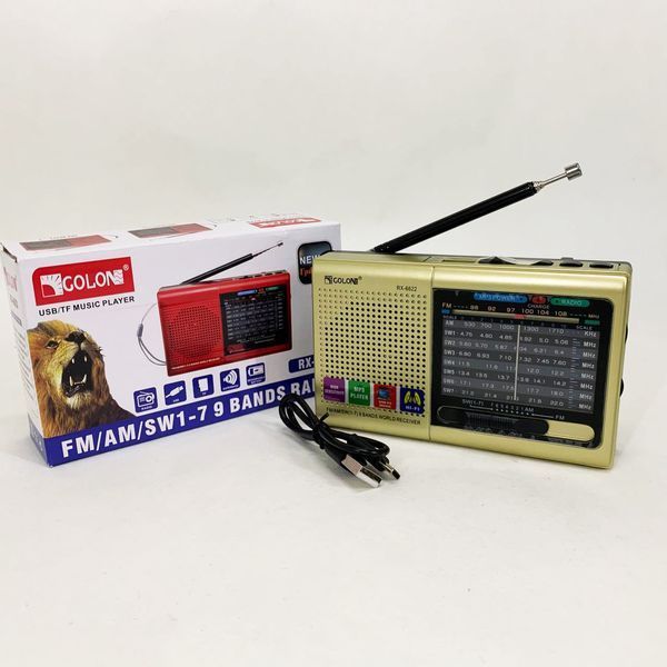 Портативная колонка радио MP3 USB Golon RX-6622. Цвет: золотой ws31912-1 фото