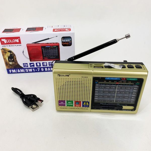 Портативная колонка радио MP3 USB Golon RX-6622. Цвет: золотой ws31912-1 фото