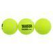 Мячи для падел тенниса TELOON PADEL PRO+ WZPA818003-PRO TP-8183 3шт салатовый WZPA818003-PRO фото 2