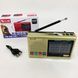 Портативная колонка радио MP3 USB Golon RX-6622. Цвет: золотой ws31912-1 фото 5