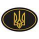Шеврон патч на липучке 'Тризуб' TY-9915 черный-желтый TY-9915 фото 1