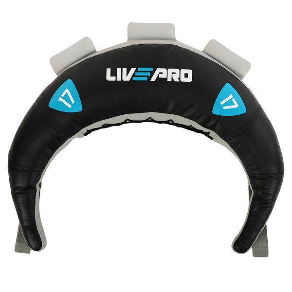 Мешок Болгарский Bulgarian bag LiveUp LP8130-17 17кг черный-синий LP8130-17 фото