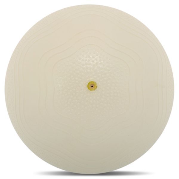 Мяч для пилатеса и йоги BLOOM MINI PILATES BALLl LB7001-20 20см цвета в ассортименте LB7001-20 фото