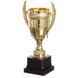 Кубок спортивный наградной SP-Sport Success JZ001-1C высота 25см золотой JZ001-1C фото 2