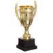 Кубок спортивный наградной SP-Sport Success JZ001-1C высота 25см золотой JZ001-1C фото 3