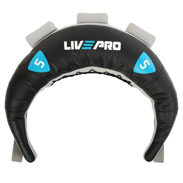 Мешок Болгарский Bulgarian bag LiveUp LP8130-5 5кг черный-синий LP8130-5 фото