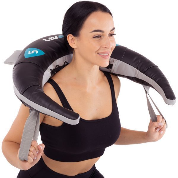 Мешок Болгарский Bulgarian bag LiveUp LP8130-5 5кг черный-синий LP8130-5 фото