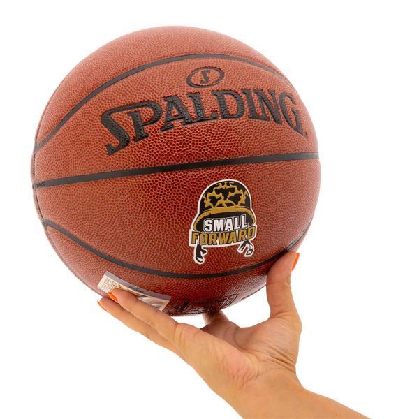 Мяч баскетбольный SPALDING SMALL FORWARD 76892Y размер 7 коричневый 76892Y фото