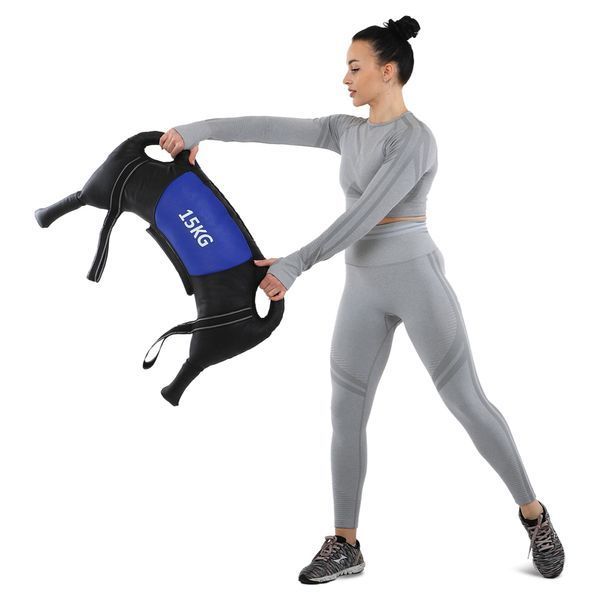 Мешок Болгарский Bulgarian bag Zelart TA-7826-15 вес-15кг черный-синий TA-7826-15 фото