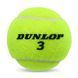Мячи для большого тенниса DUNLOP CLUB AC DL601334 3шт салатовый DL601334 фото 2
