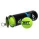 Мячи для большого тенниса DUNLOP ATP CHAMPIONSHI DL601332 3шт салатовый DL601332 фото 4