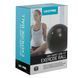 Фитбол мяч для фитнеса сатин LiveUp LP8201-75 o75см цвета в ассортименте LP8201-75 фото 11