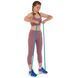 Резина петля для подтягиваний и тренировок лента силовая SP-Sport Fitness LINE FI-9584-4 50-75кг голубой FI-9584-4 фото 8