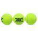Мячи для большого тенниса DUNLOP ATP CHAMPIONSHI DL601332 3шт салатовый DL601332 фото 2