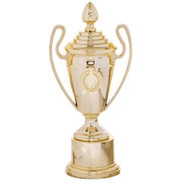 Кубок спортивный наградной SP-Sport Favourite HB4002C высота 28см золотой HB4002C фото