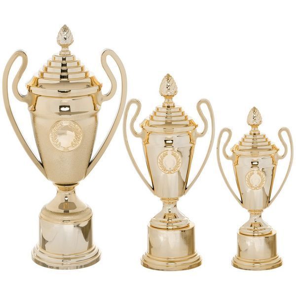 Кубок спортивний нагородний SP-Sport Favourite HB4002C висота 28см золотий HB4002C фото