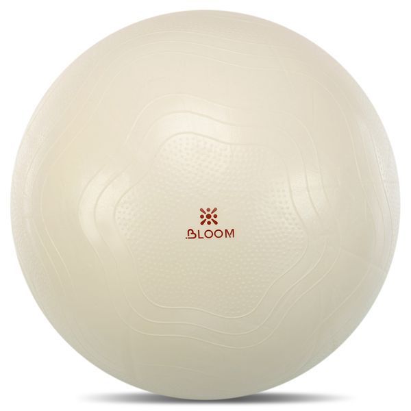 Фитбол мяч для фитнеса сатин BLOOM LB7051-75 o75см цвета в ассортименте LB7051-75 фото