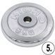 Блины диски хромированные HIGHQ SPORT TA-1452-5S 30мм 5кг хром TA-1452-5S фото 1