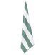 Полотенце для пляжа и бассейна из микрофибры SAILBOLAT BEACH TOWEL T-SCT 80х160см цвета в ассортименте T-SCT фото 33