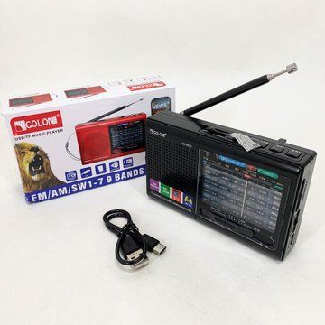 Портативная колонка радио MP3 USB Golon RX-6622 Black ws31912-2 фото