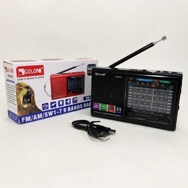 Портативная колонка радио MP3 USB Golon RX-6622 Black ws31912-2 фото