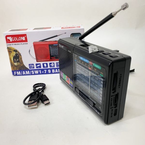Портативная колонка радио MP3 USB Golon RX-6622 Black ws31912-2 фото