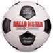 М'яч футбольний BALLONSTAR FB-0173 Leather №5 білий-чорний FB-0173 фото 1