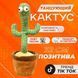 Танцующий кактус поющий 120 песен с подсветкой Dancing Cactus TikTok игрушка Повторюшка кактус ws24354 фото 55