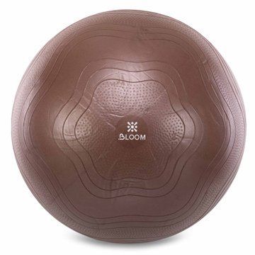 Фитбол мяч для фитнеса сатин BLOOM LB7051-65 o65см цвета в ассортименте LB7051-65 фото