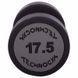 Гантель цельная профессиональная с полиуретановым покрытием TECHNOGYM LN-1254-17_5 1шт 17,5кг черный-серый LN-1254-17_5 фото 3