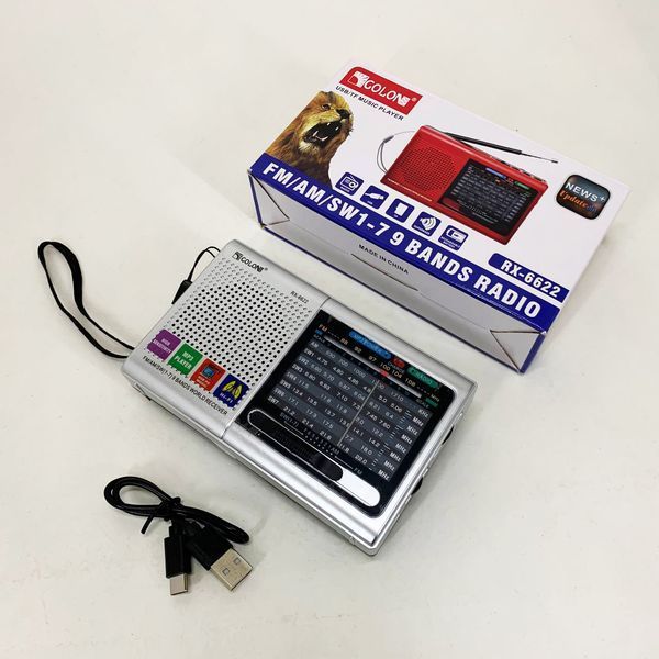 Портативная колонка радио MP3 USB Golon RX-6622. Цвет: серебряный ws31912 фото