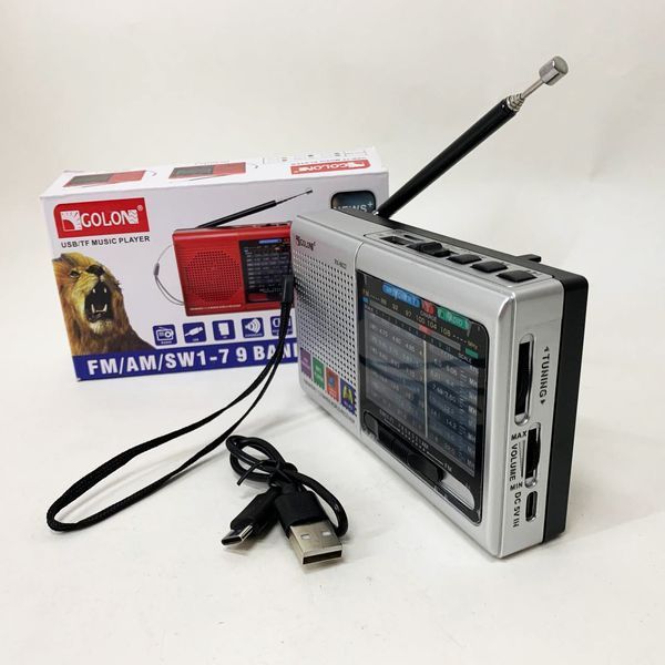 Портативная колонка радио MP3 USB Golon RX-6622. Цвет: серебряный ws31912 фото