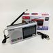 Портативная колонка радио MP3 USB Golon RX-6622. Цвет: серебряный ws31912 фото 6