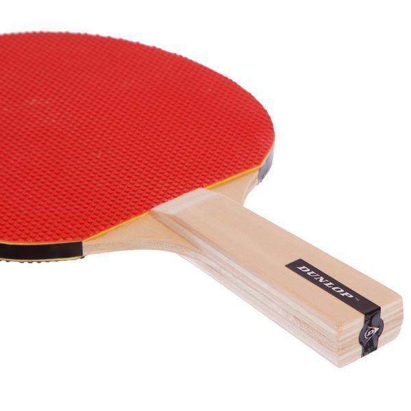 Набор для настольного тенниса DUNLOP RAGE DL679212 2 ракетки 3 мяча сетка чехол DL679212 фото