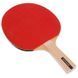Набор для настольного тенниса DUNLOP RAGE DL679212 2 ракетки 3 мяча сетка чехол DL679212 фото 4