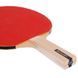Набор для настольного тенниса DUNLOP RAGE DL679212 2 ракетки 3 мяча сетка чехол DL679212 фото 5
