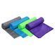 Рушник спортивний з мікрофібри в чохлі EVA CASE SPORTS TOWEL FRYFAST 4Monster T-EDT-120 60х120см кольори в асортименті T-EDT-120 фото 20