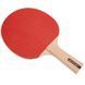 Набір для настільного тенісу DUNLOP D TT AC RAGE MATCH MT-679211 2 ракетки 3 м'яча MT-679211 фото 3