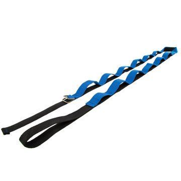 Лента стропа с петлями для растяжки Stretch Strap с дверным якорем Record FI-6907 14 петель черный-синий FI-6907 фото