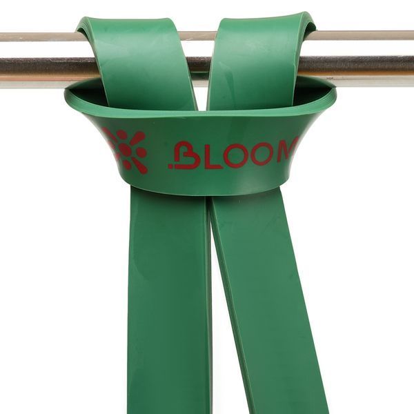 Гума петля для підтягувань та тренувань стрічка силова BLOOM SUPER BAND LB7071-4 зелений LB7071-4 фото