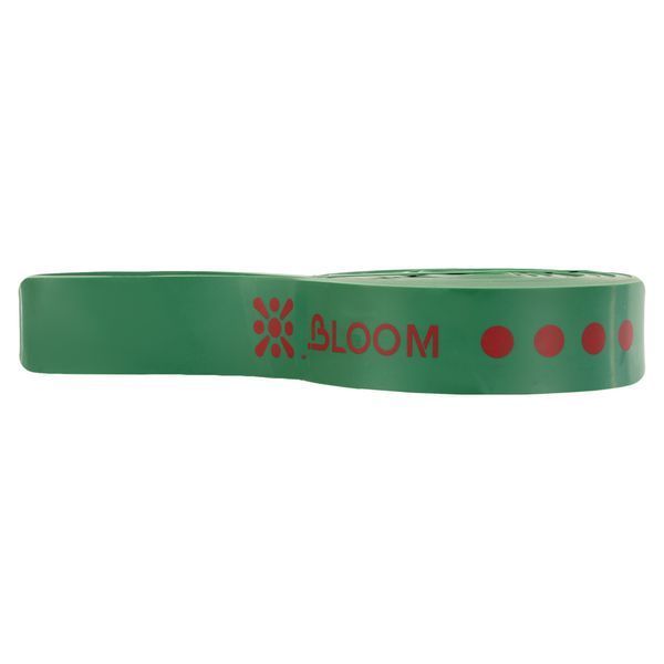 Гума петля для підтягувань та тренувань стрічка силова BLOOM SUPER BAND LB7071-4 зелений LB7071-4 фото