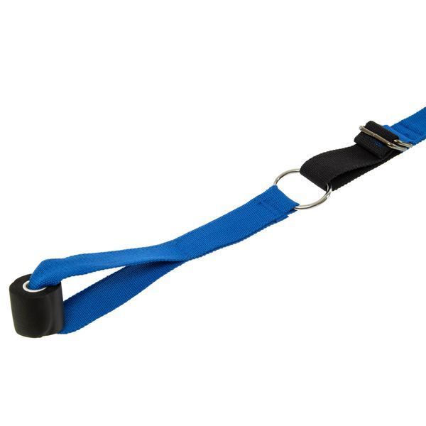 Лента стропа с петлями для растяжки Stretch Strap с дверным якорем Record FI-6907 14 петель черный-синий FI-6907 фото