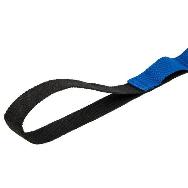 Лента стропа с петлями для растяжки Stretch Strap с дверным якорем Record FI-6907 14 петель черный-синий FI-6907 фото
