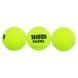 М'ячі для падел-тенісу TELOON PADEL WZPA818003-PADEL TP-6063 3шт салатовий WZPA818003-PADEL фото 2