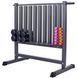Стійка вертикальна для гантелей Zelart RK2506L розмір-107х68х105см чорний RK2506L фото 1